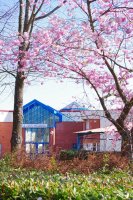 Le collège au printemps ...